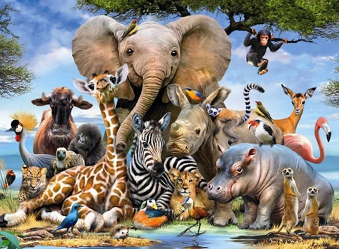 Animal Collage Rhino Elephant Giraffe Zebra Hippo And Friends